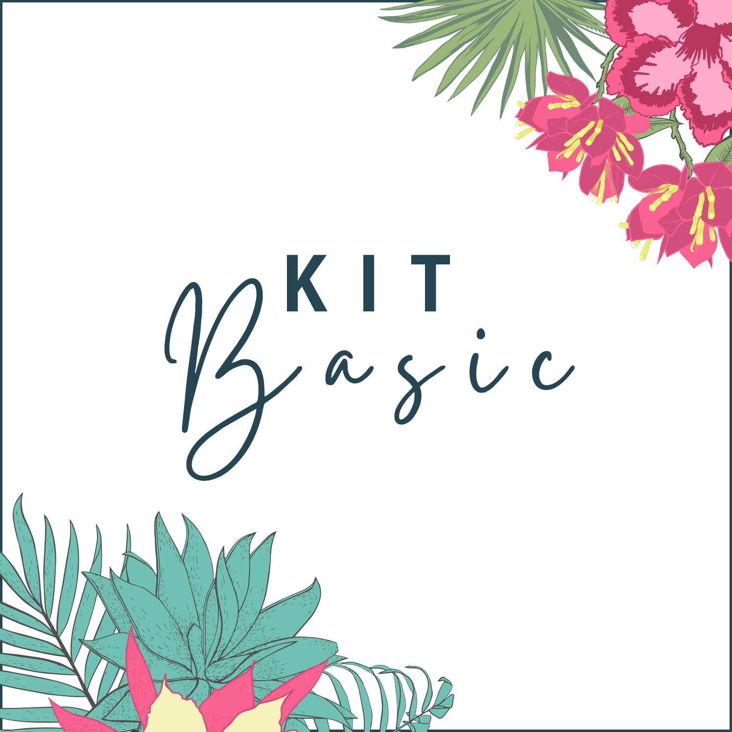 kit basic
